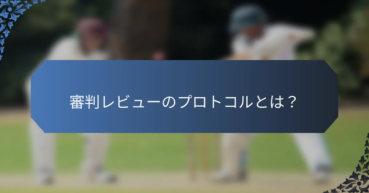 審判レビューのプロトコルとは？