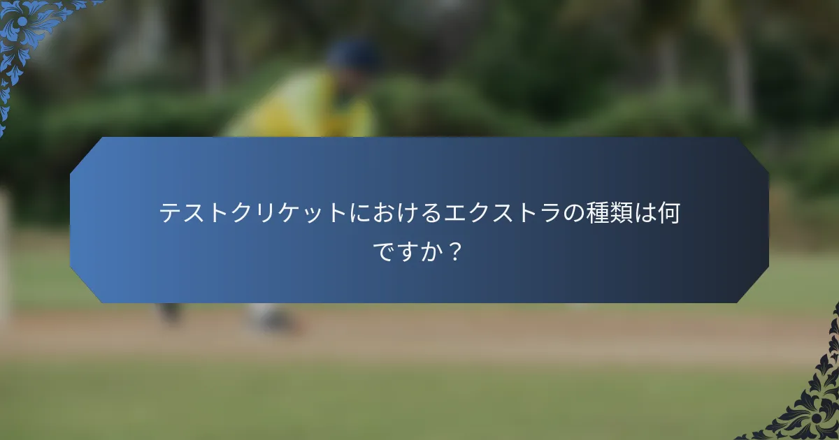 テストクリケットにおけるエクストラの種類は何ですか？