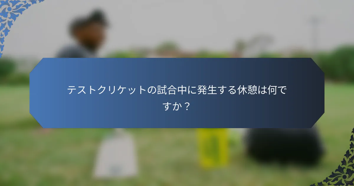 テストクリケットの試合中に発生する休憩は何ですか？