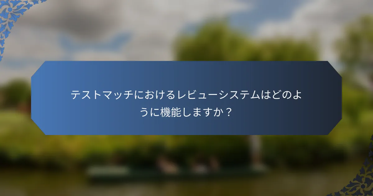 テストマッチにおけるレビューシステムはどのように機能しますか？